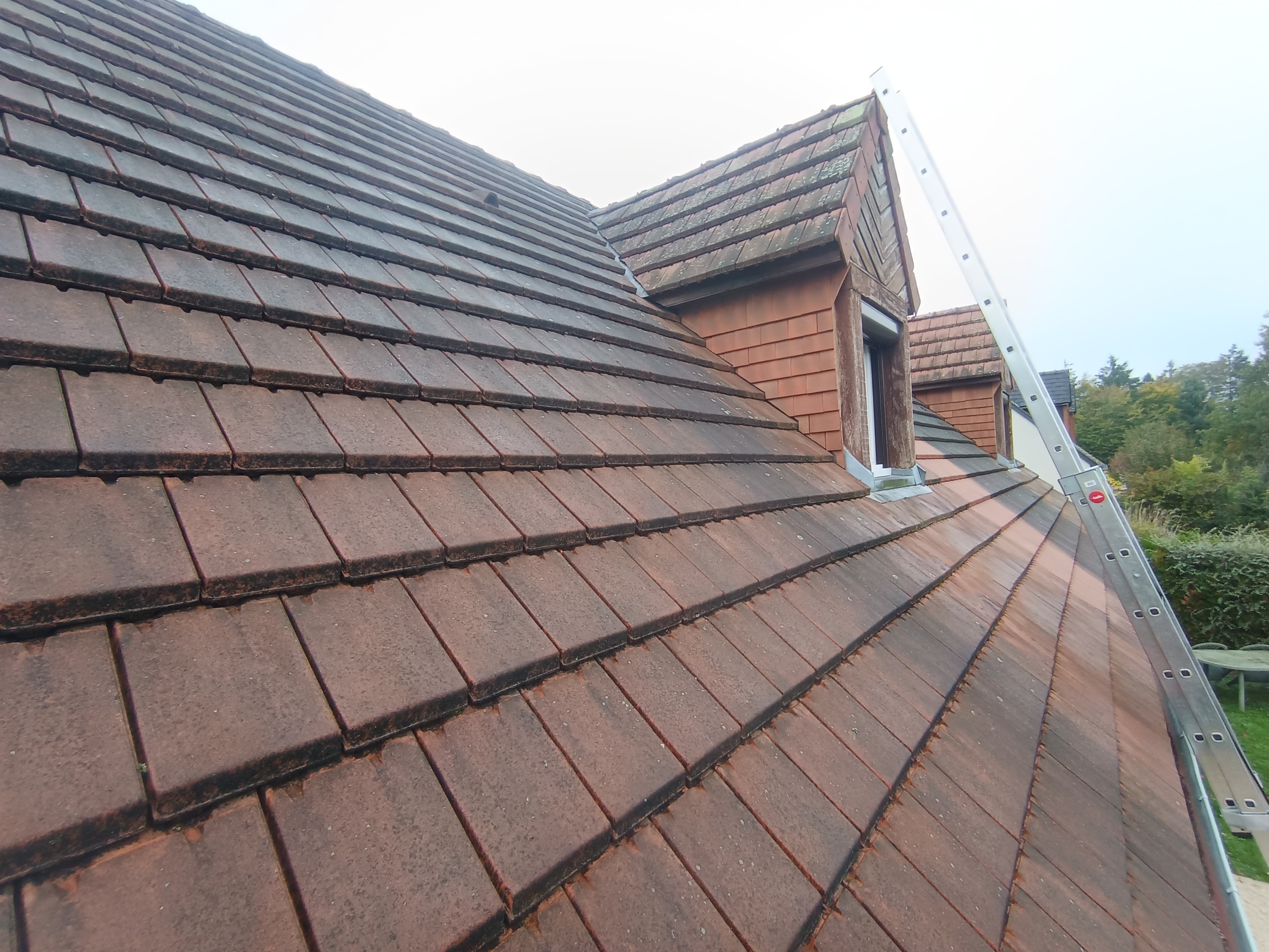 Nettoyage et traitement Saint-Avertin